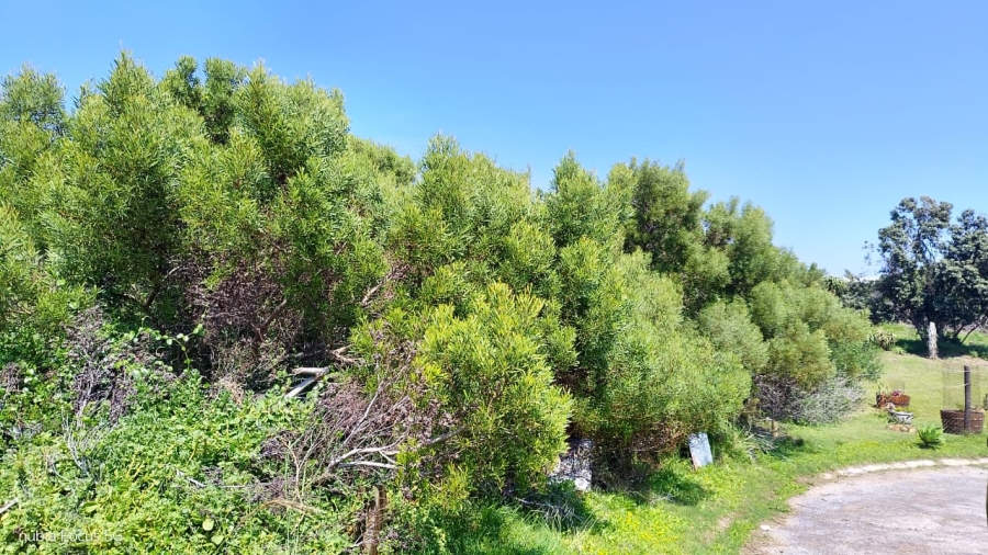 Commercial Property for Sale in Paradise Beach Eastern Cape